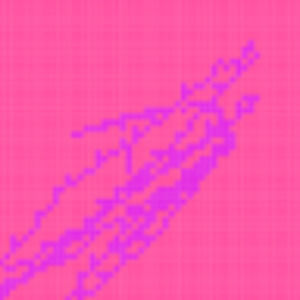 Meet your Posher, Marie lucy